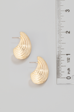 Load image into Gallery viewer, The Shivers Earrings